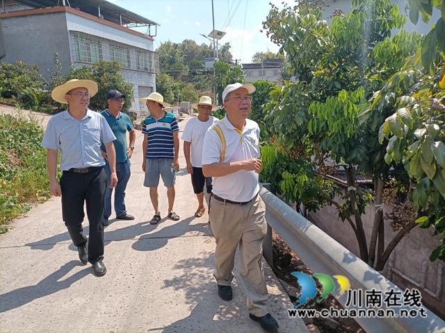 专家调研龙眼旱情.jpg