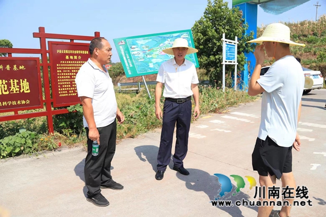 泸县云龙镇主要负责人带队调研抗旱保收工作