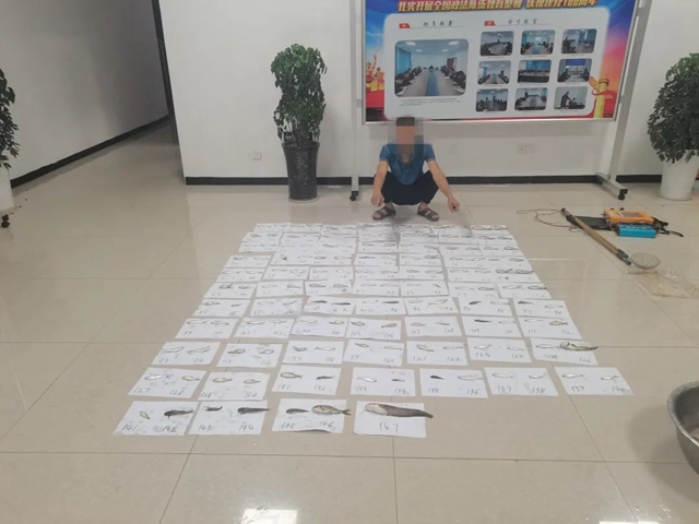鱼7.jpg