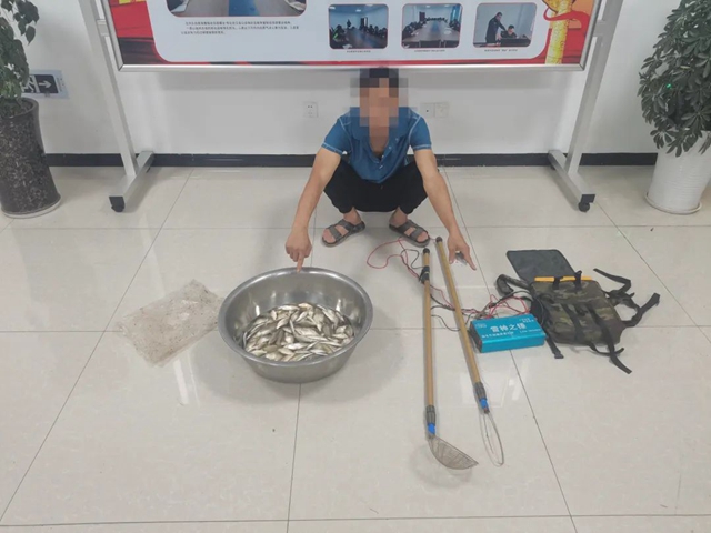 鱼6.jpg