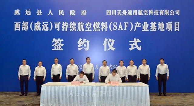 油1.jpg