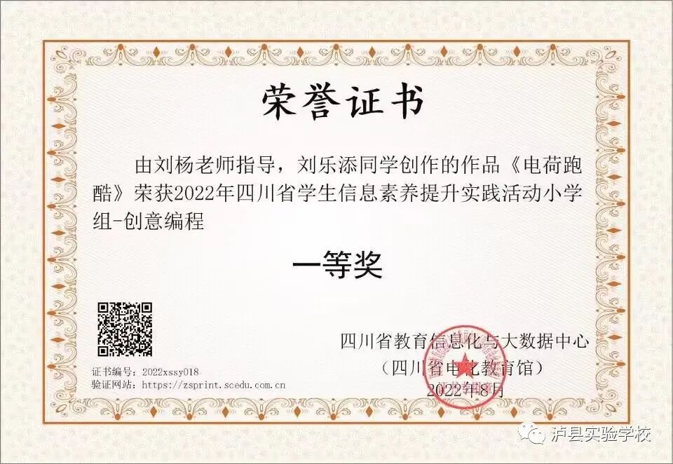 泸州市小学组唯一获奖|泸县实验学校：创客之花，省级一等奖！