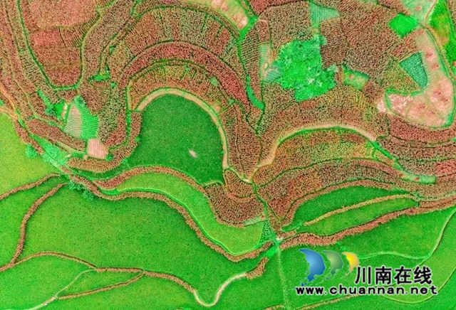 QQ图片20220816171806.jpg