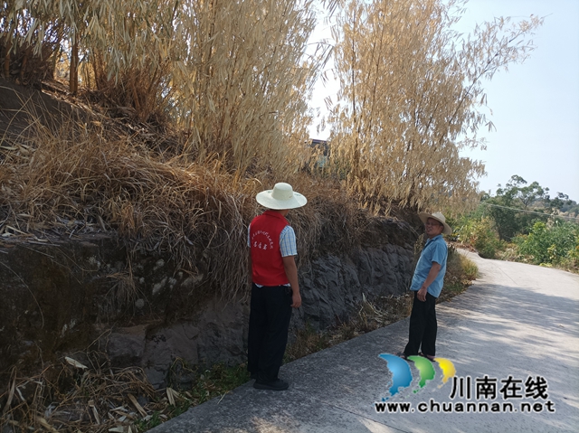 泸县云龙镇：狠抓森林防灭火工作，织牢织密防火“安全网”