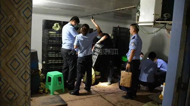 救出5000余只“被囚”蟾蜍！内江经开区警方：私自捕捉20只以上就构成犯罪