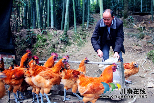 泸县：发挥“新乡贤”作用，助力乡村振兴战略