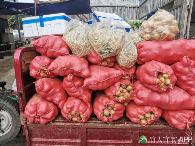 不用囤!饿不到!宜宾物资供应充足(图13) 13.jpg
