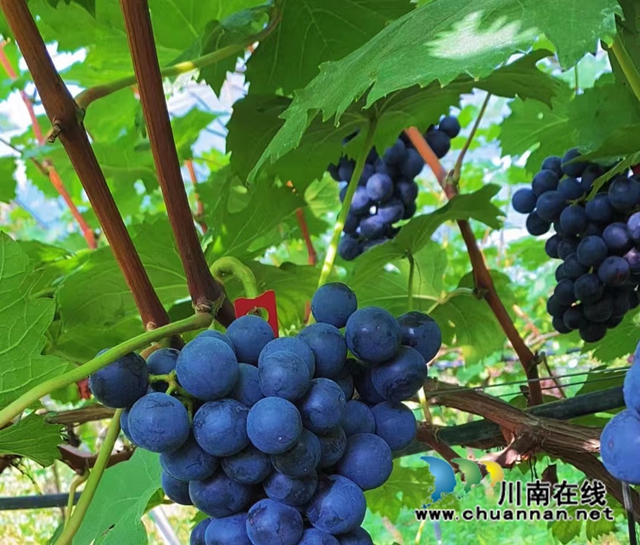 微信图片_20220905170846.jpg