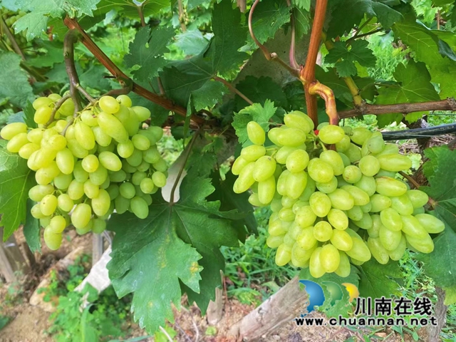 微信图片_20220905170849.jpg