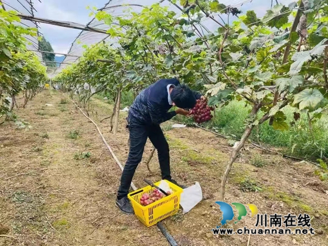 微信图片_20220905175501.jpg