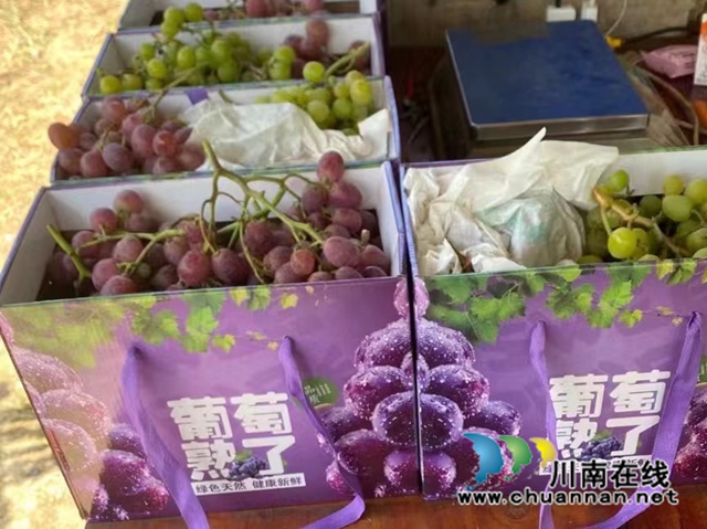 微信图片_20220905173234.jpg