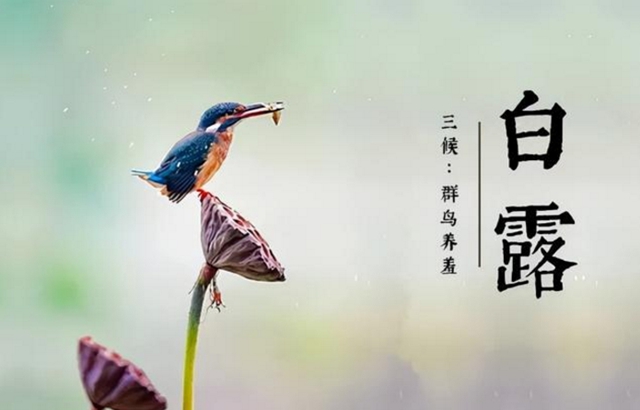 【扩散】今天开始,不能再打光胴胴了!(图3) 3.jpg