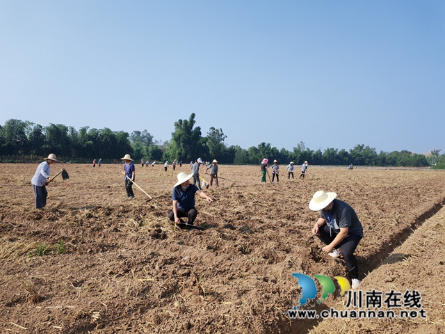 陈应平（右二）在测量间距（曾佐然摄）.jpg