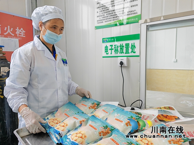 泸县:深加工让桂圆“贵”起来(图6) 冻干龙眼肉包装(曾佐然摄).jpg