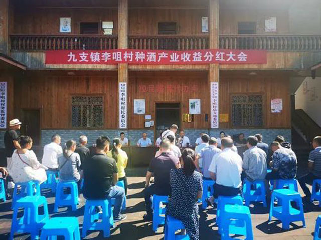 “苗家种酒”,让合江的这个少数民族散杂居村富起来(图3) 2-1.jpg