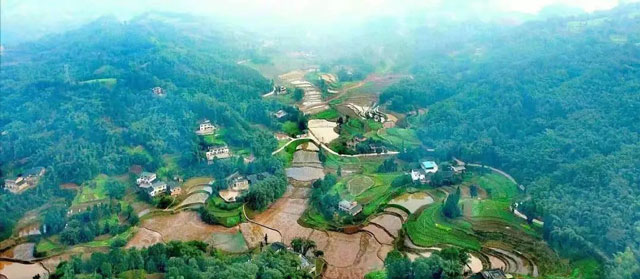 “苗家种酒”,让合江的这个少数民族散杂居村富起来(图6) 6-1.jpg