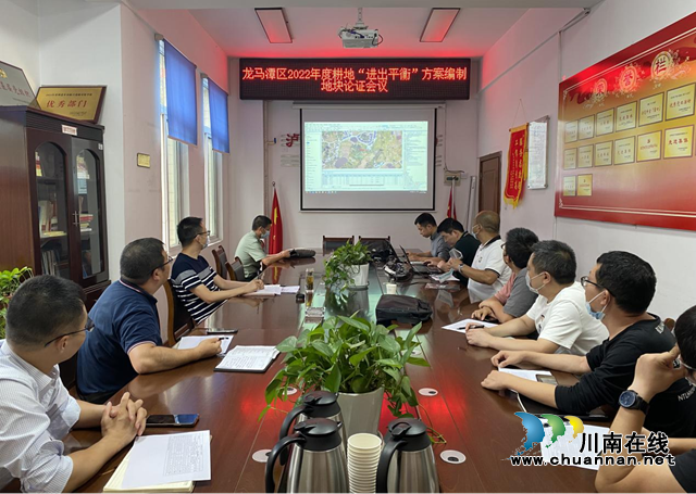 龙马潭区召开2022年度耕地“进出平衡”方案编制地块论证会
