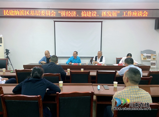 民建纳溪区基层委员会：积极为“拼经济 搞建设”献计出力