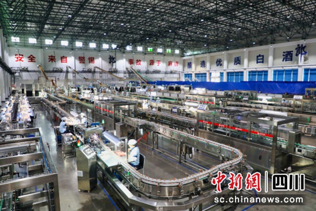 1—8月,泸酒新签约招商引资项目17个(图4) 4.jpg