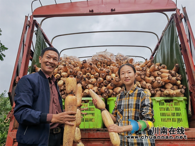 旺龙山村党总支书记朱锡陶（左）介绍土地流转情况（曾佐然摄）.jpg