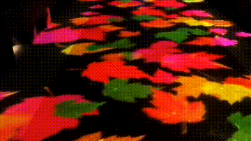 炫丨山体投影来了!快到龙马潭沱江滨江路打卡(图4) 3.gif