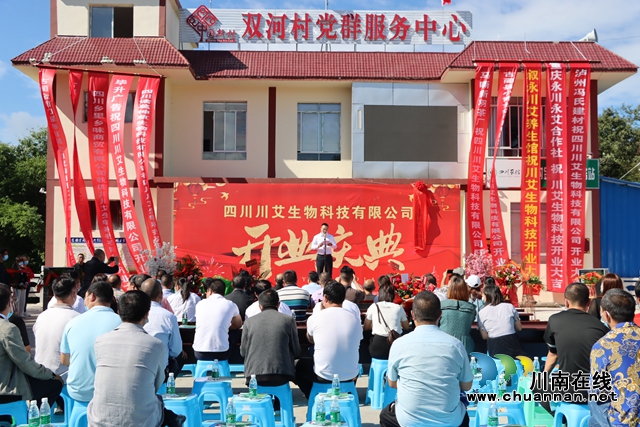 古蔺县龙山镇：小艾草，大梦想，乡贤返乡创业助力乡村振兴