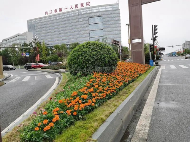 花2.jpg