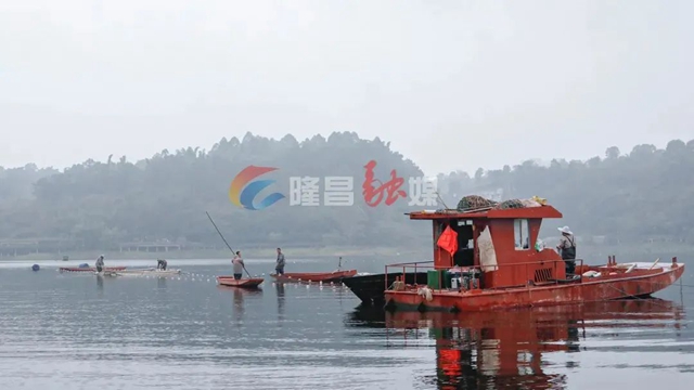 场面震撼!现场直击隆昌古宇湖捕鱼全过程(图16) 16.jpg
