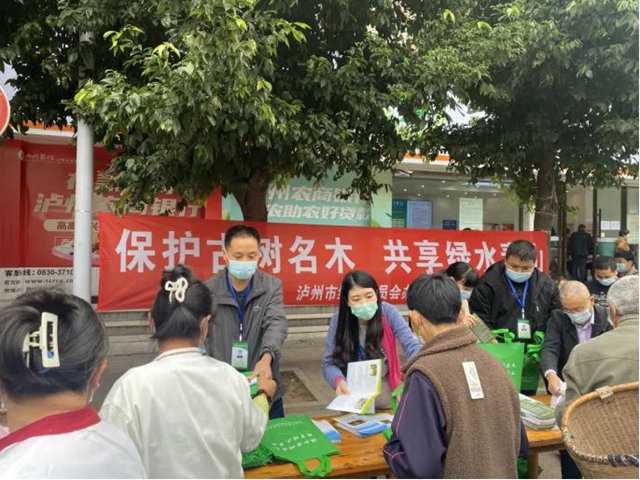 泸州市开展古树名木保护宣传活动