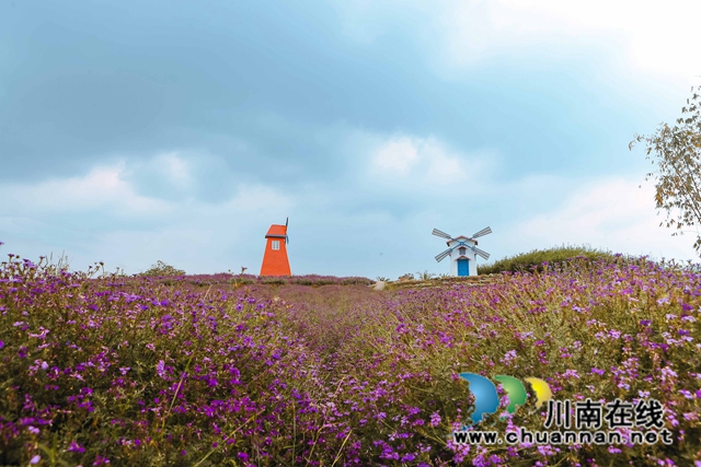 四季花海.jpg