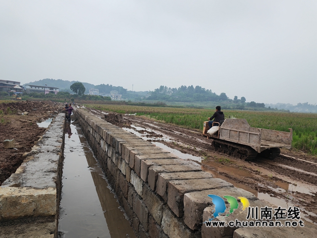 泸县海潮镇:高标准农田建设建设助力乡村振兴(图2) 海潮镇高标准农田建设现场2(曾佐然摄).jpg