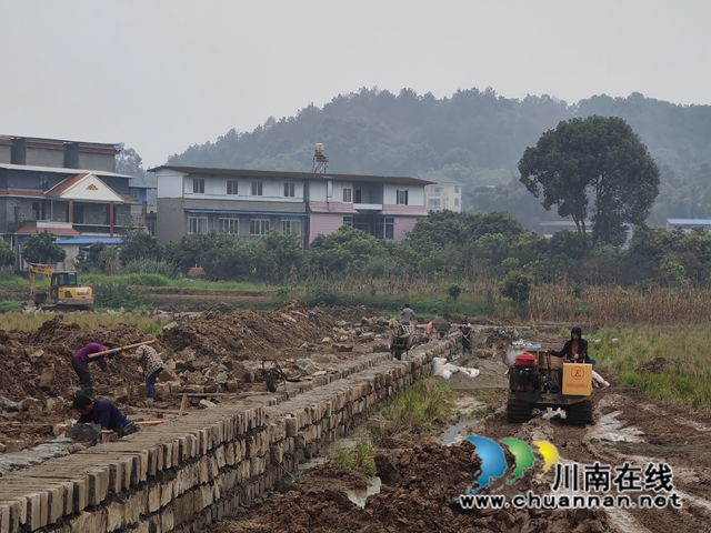 泸县海潮镇:高标准农田建设建设助力乡村振兴(图5) 海潮镇高标准农田建设现场4(曾佐然摄).jpg