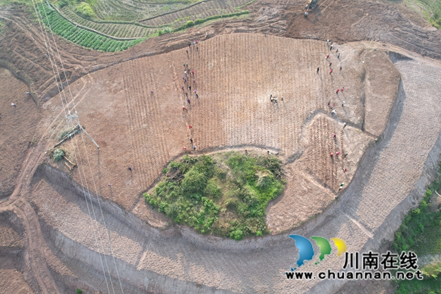 DJI_0356.JPG