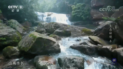 3.gif