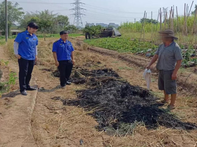 最高可罚款2000元 纳溪区东升街道依法查处多起焚烧秸秆行为
