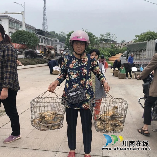图片3.jpg