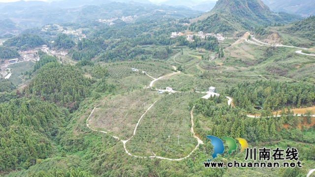 DJI_0042.JPG