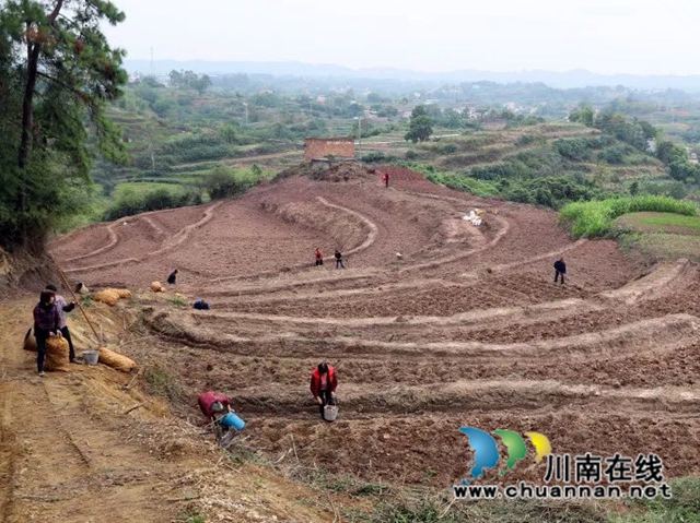 泸县毗卢镇拓展统战工作复耕撂荒土地