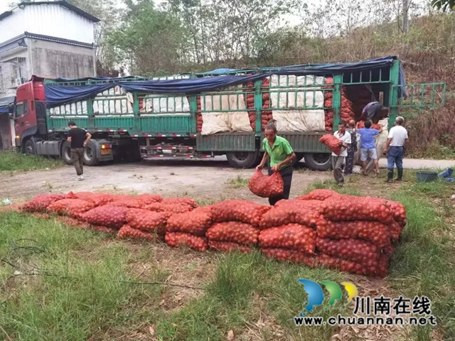 泸县福集镇：秋播秋种一片忙，田间地头“沃”希望