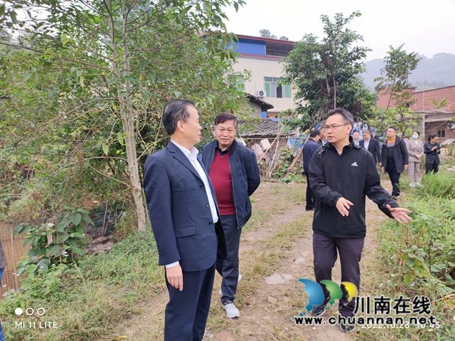 民革泸县基层委员会调研玉蟾街道龙朝村农业产业发展情况