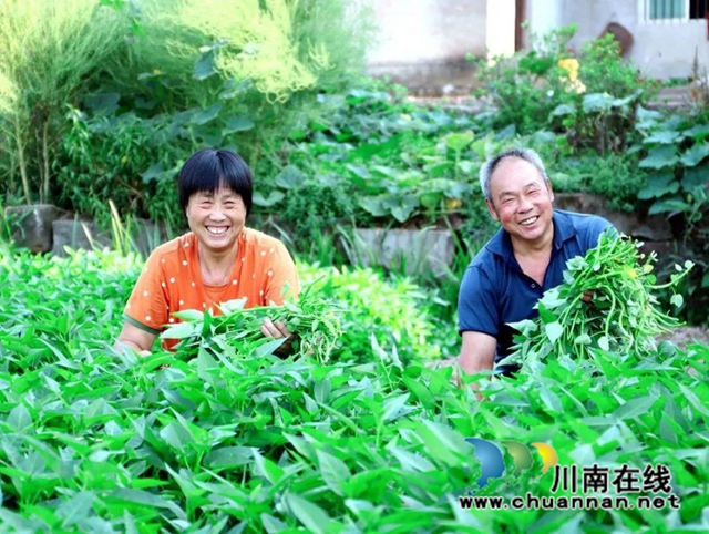 微信图片_20221019172920.jpg
