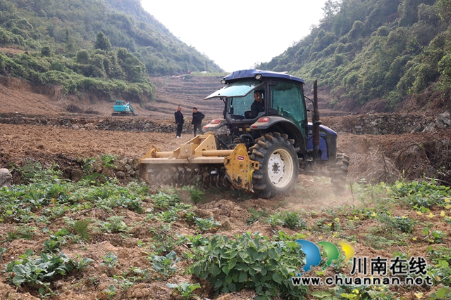 古蔺：乡贤小春生产忙，撂荒地变身“希望田”
