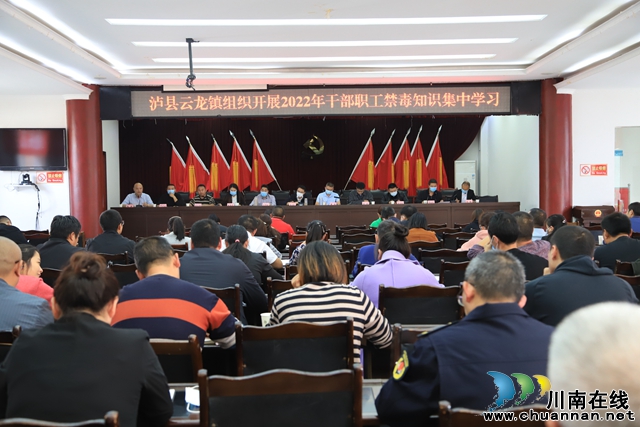 泸县云龙镇组织开展干部职工禁毒知识集中学习