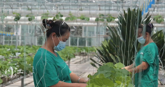 农3.jpg