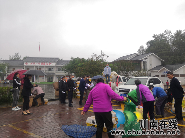 江阳区华阳街道残联送鸡苗送养殖技术下乡