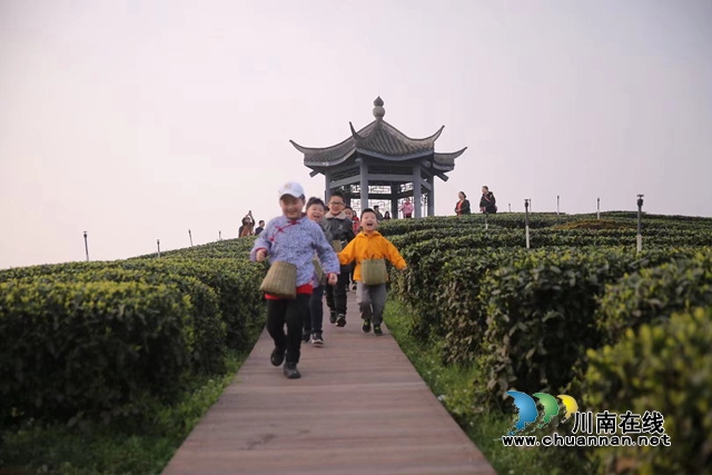梅岭茶山研学旅行.jpg