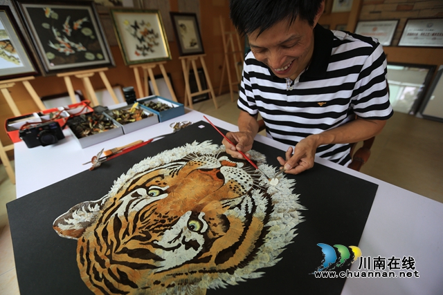 纳溪蝴蝶画.jpg