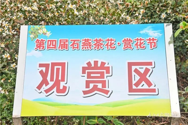 哇!内江这里迎来了一场“雪”——(图5) 5.jpg
