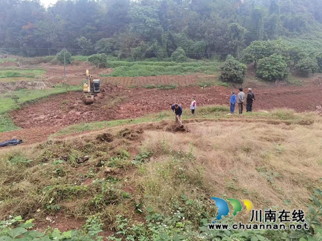 泸县海潮镇统战志愿者助力复垦撂荒土地