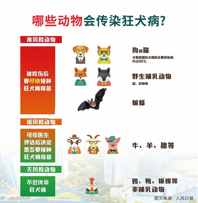 西南医大中医院动物致伤中心·犬伤门诊开诊!(图18) 诊18.jpg